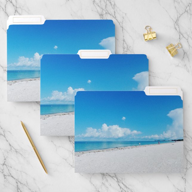  Beautiful Beaches Florida  File Folder (Set)