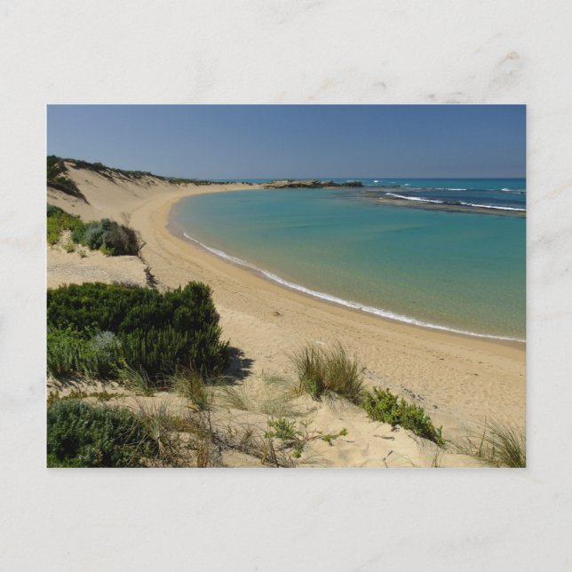 Beautiful Beachport Postcard (Front)