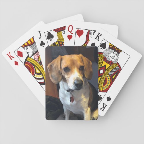 Beautiful Beagle Playing Cards