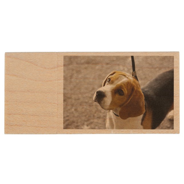 Beautiful Beagle USB Drive (Back)
