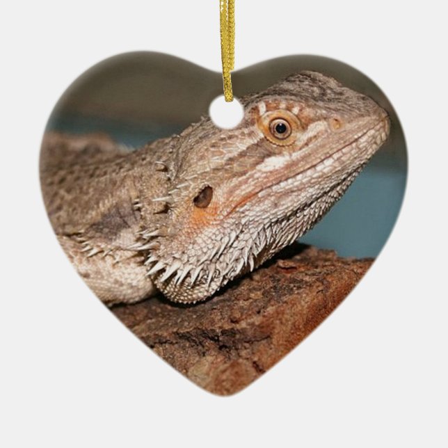 Beautiful Bearded Dragon Ceramic Ornament (Front)
