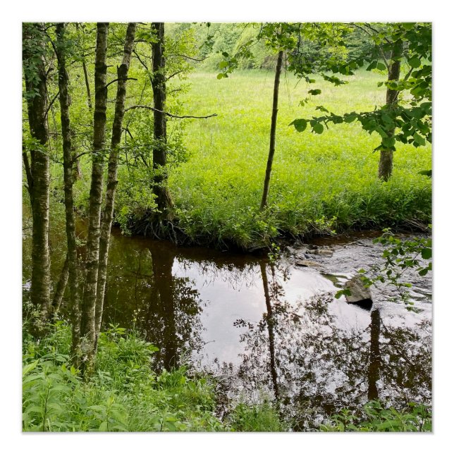 Beautiful belgian forest and river, travel poster (Front)