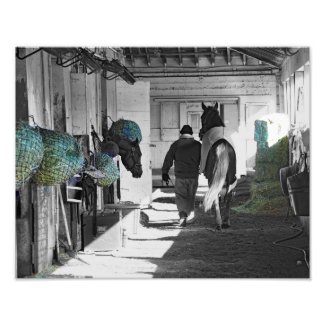 Beautiful Belmont Park Photo Print