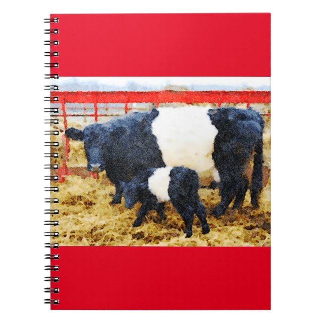 Beautiful Belted Galloway cow and calf watercolour Notebook (Front)