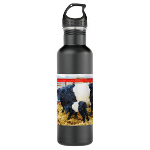 Beautiful Belted Galloway cow and calf watercolour Stainless Steel Water Bottle