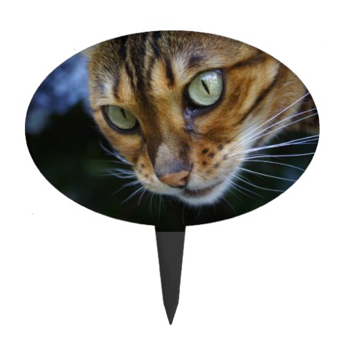 Beautiful Bengal Cat Cake Topper