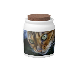 Beautiful Bengal Cat Candy Jar