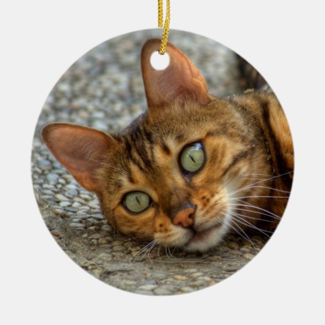 Beautiful Bengal Cat Ceramic Ornament (Front)