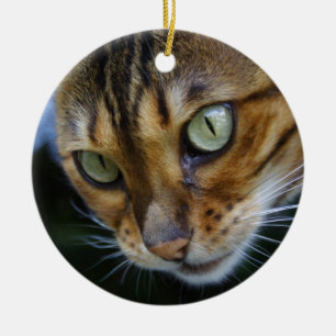 Beautiful Bengal Cat Ceramic Ornament