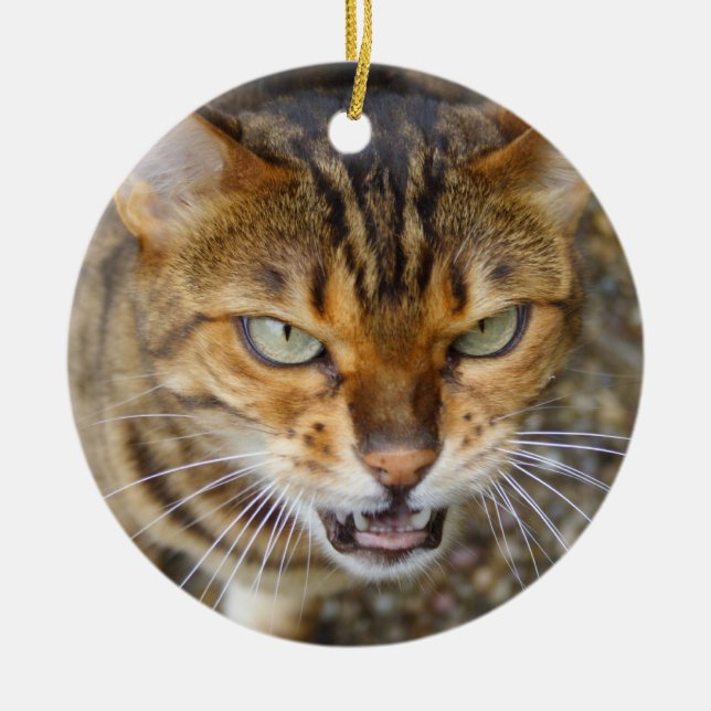 Beautiful Bengal Cat Ceramic Ornament (Front)