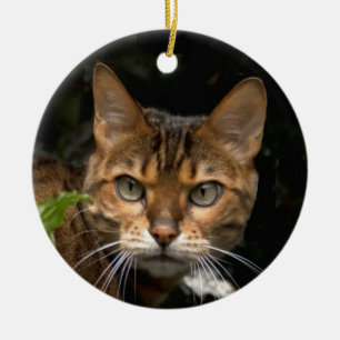 Beautiful Bengal Cat Ceramic Ornament