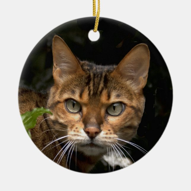 Beautiful Bengal Cat Ceramic Ornament (Front)