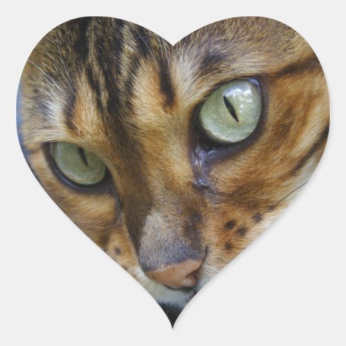 Beautiful Bengal Cat Heart Sticker