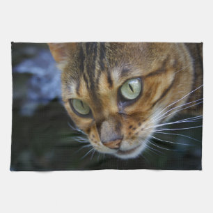 Beautiful Bengal Cat Kitchen Towel