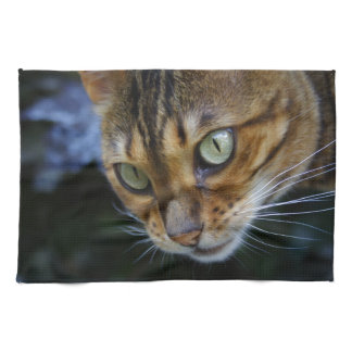 Beautiful Bengal Cat Kitchen Towel