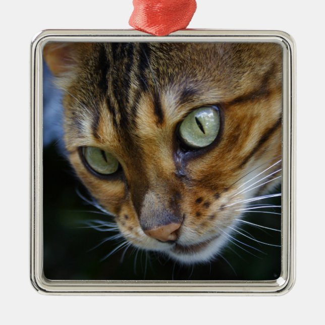 Beautiful Bengal Cat Metal Ornament (Front)