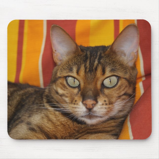 Beautiful Bengal Cat Mouse Pad (Front)