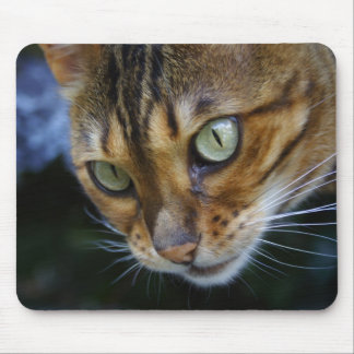 Beautiful Bengal Cat Mouse Pad