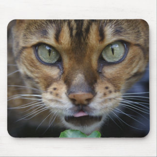 Beautiful Bengal Cat Mouse Pad