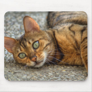 Beautiful Bengal Cat Mouse Pad