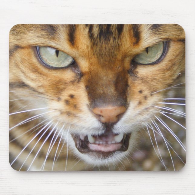 Beautiful Bengal Cat Mouse Pad (Front)