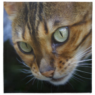 Beautiful Bengal Cat Napkin