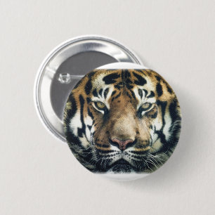 Beautiful Bengal Tiger Face Photo Button