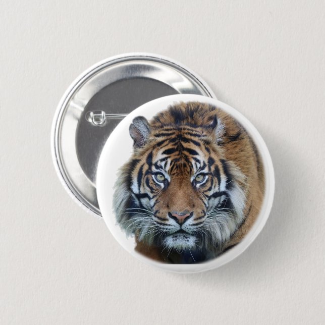 Beautiful Bengal Tiger Face Photo Button (Front & Back)
