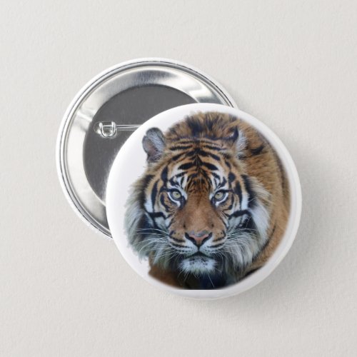 Beautiful Bengal Tiger Face Photo Button