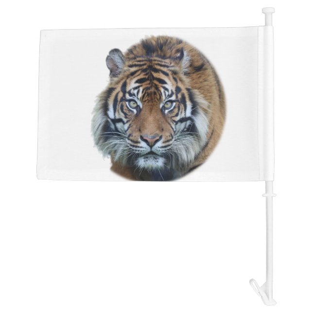 Beautiful Bengal Tiger Face Photo Car Flag (Back)