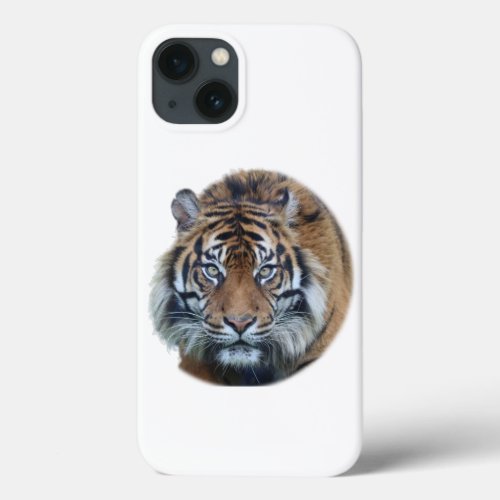 Beautiful Bengal Tiger Face Photo iPhone 13 Case