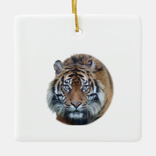 Beautiful Bengal Tiger Face Photo Ceramic Ornament