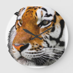 Beautiful Bengal Tiger Face Photo Large Clock