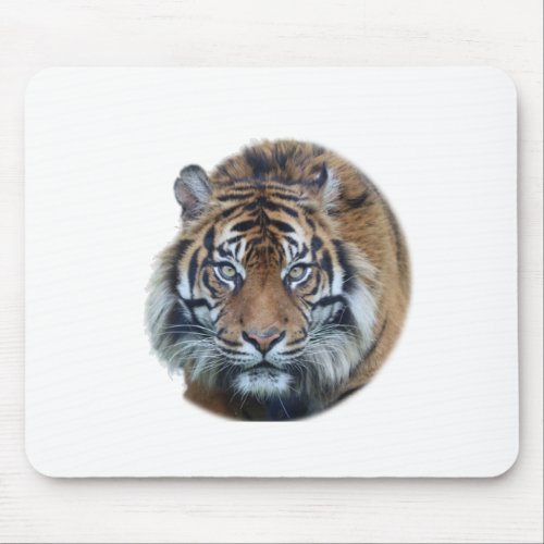 Beautiful Bengal Tiger Face Photo Mouse Pad