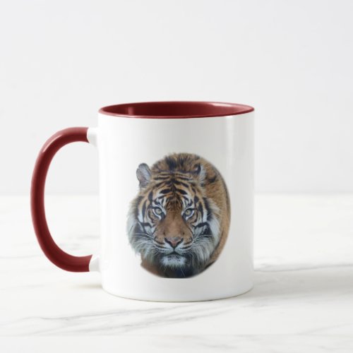Beautiful Bengal Tiger Face Photo Mug