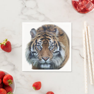 Beautiful Bengal Tiger Face Photo Napkins