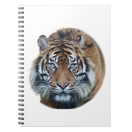 Beautiful Bengal Tiger Face Photo Notebook