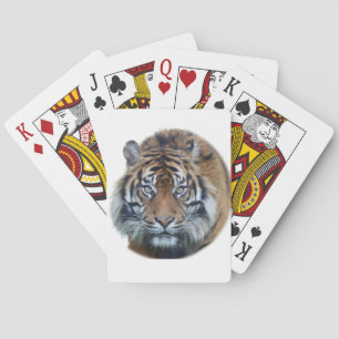 Beautiful Bengal Tiger Face Photo Poker Cards