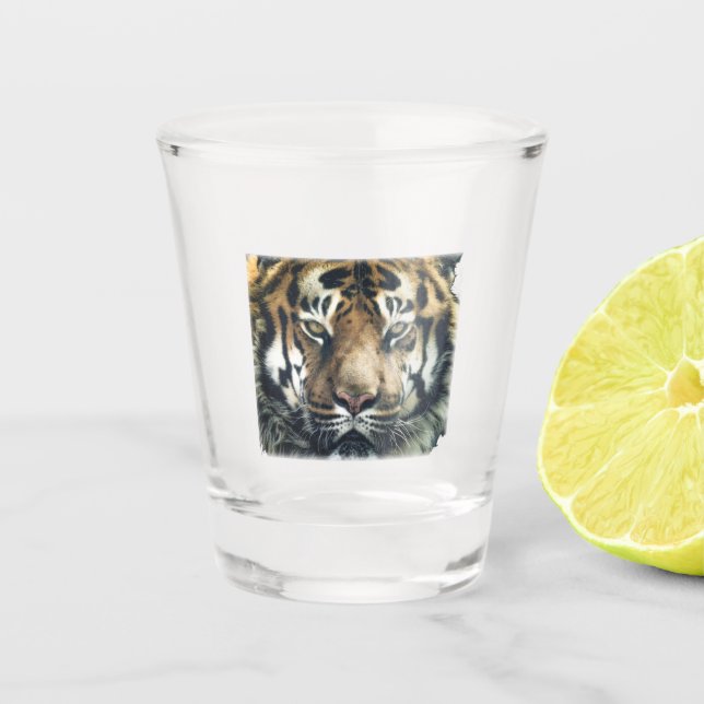 Beautiful Bengal Tiger Face Photo Shot Glass (Front)