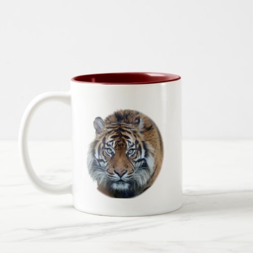 Beautiful Bengal Tiger Face Photo Two_Tone Coffee Mug