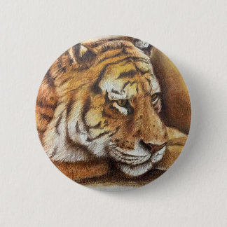 Beautiful Bengal Tiger, hand sketch Button