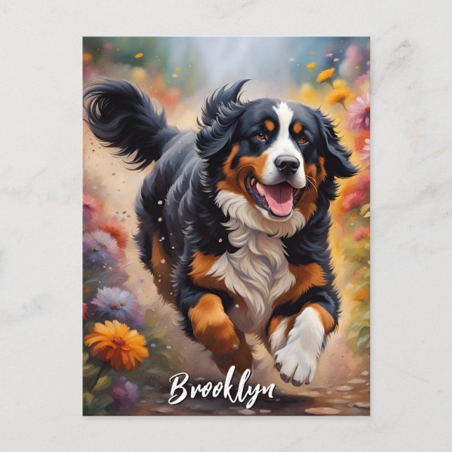 Beautiful Bernese Mountain Dog Postcard (Front)