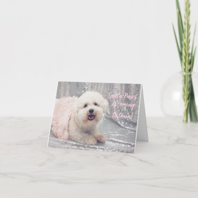 Beautiful Bichon Frise Ballerina Christmas Card (Front)