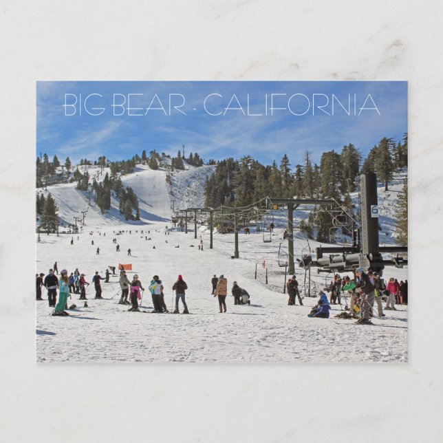 Beautiful Big Bear Postcard! Postcard (Front)