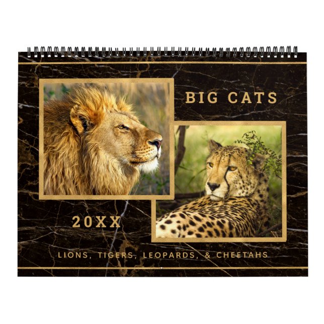 Beautiful Big Cats Photo Image Calendar (Cover)