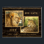 Beautiful Big Cats Photograph Calendar<br><div class="desc">Beautiful Big Cats Photography; Lions,  Tigers,  Leopards,  and Cheetahs. Only the most gorgeous wildcat photos were chosen for this Calendar. With rich golden colors. The neutral colors will blend well in any room of the house. Ready for you to enter the year.</div>