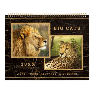 Beautiful Big Cats Photograph Calendar