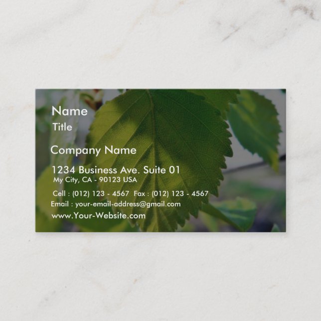 Beautiful Birch Leaves Business Card (Front)