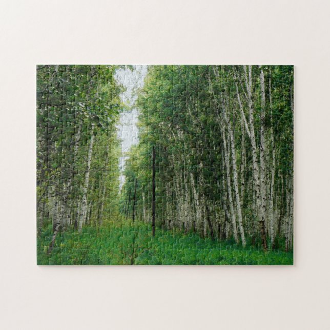 Beautiful Birch Tree Forest Jigsaw Puzzle (Horizontal)