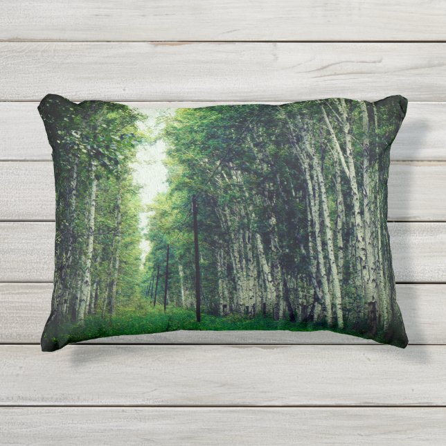 Beautiful Birch Tree Forest Outdoor Pillow (Front)